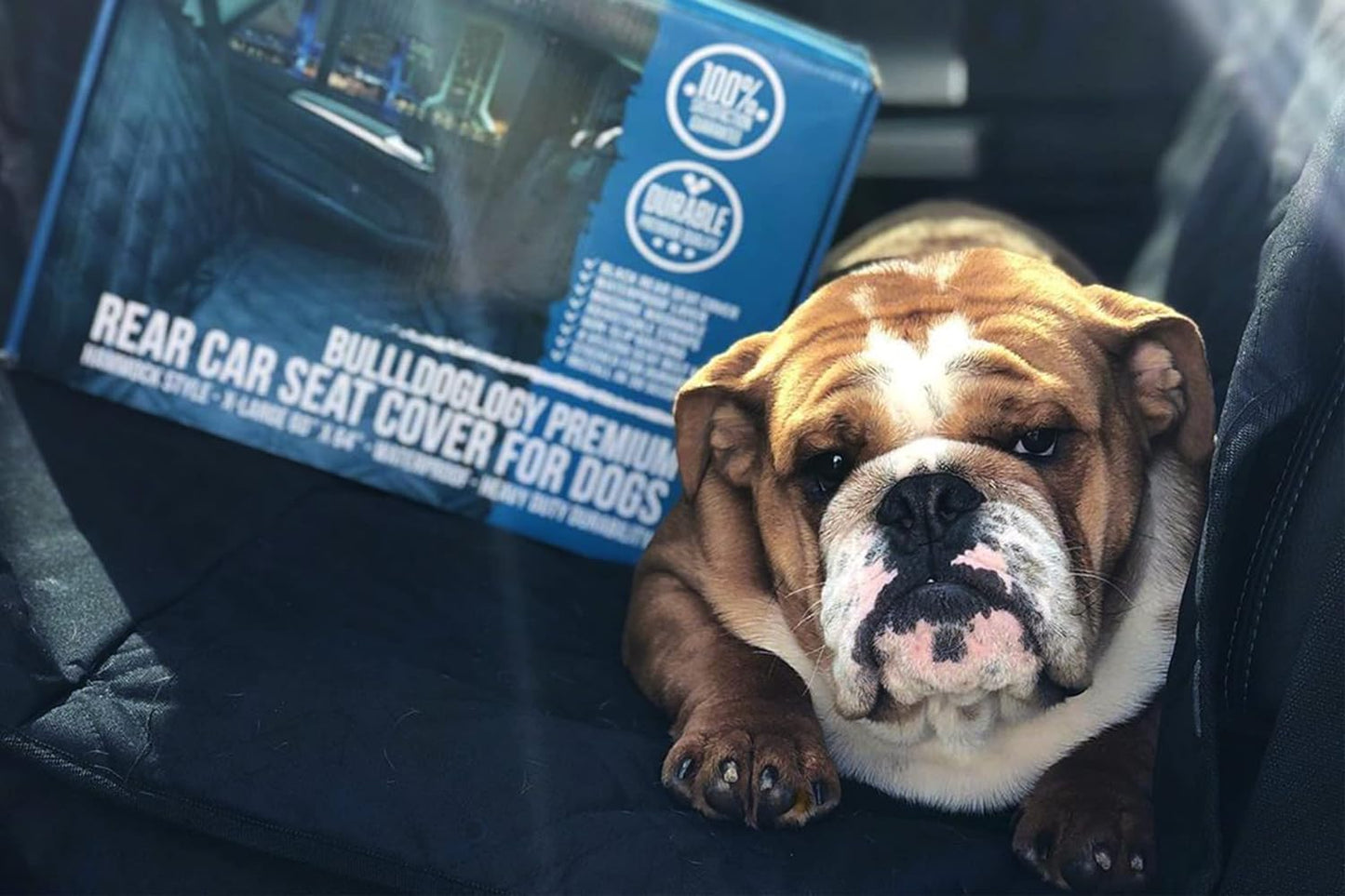 Dog Car Seat Cover for Back Seat 58"X56" Waterproof Pet Seat Cover SUV - Seat Cover for Dogs - Back Seat Protector - Dog Hammock for Car, Seat Cover for Truck (Large)